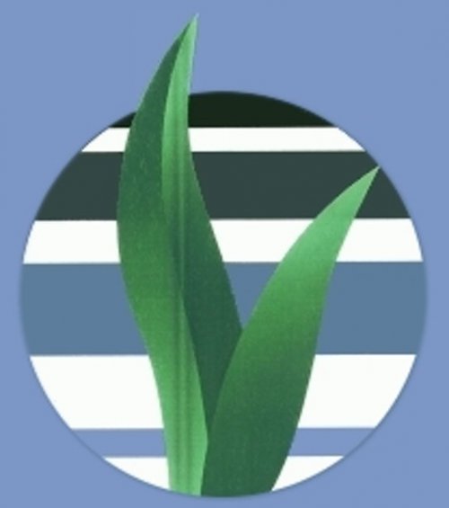 Rhizotech Logo