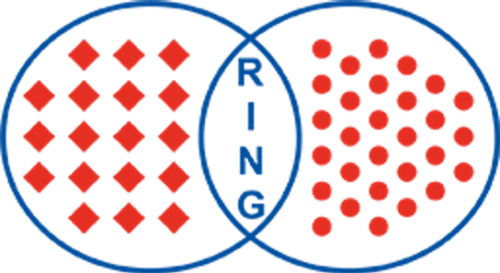 Ring Maschinenbau GmbH Logo