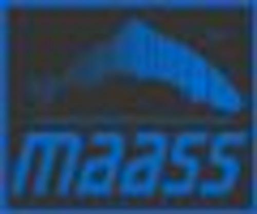 Rudolf Maass + Partner GmbH Logo