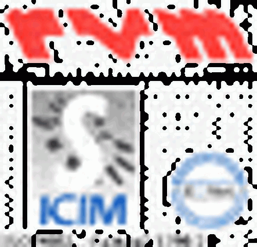 RVM MICROMECCANICA S.R.L. Logo