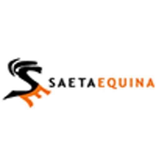 SAETAEQUINA Logo