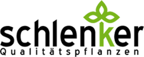 Schlenker Qualitätspflanzen Logo