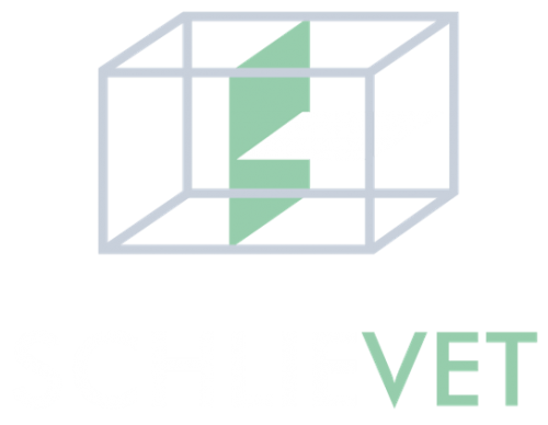 Schlievet GmbH Logo