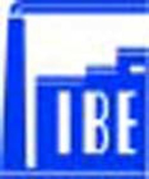 Schornstein- und Industrieofenbau ESSER GmbH Logo