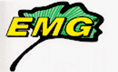 EMG/SCIO International Inh. J. Kunde Logo
