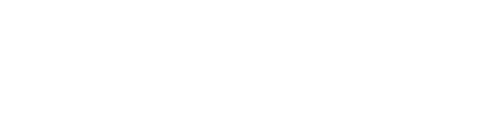 Lawyers in America