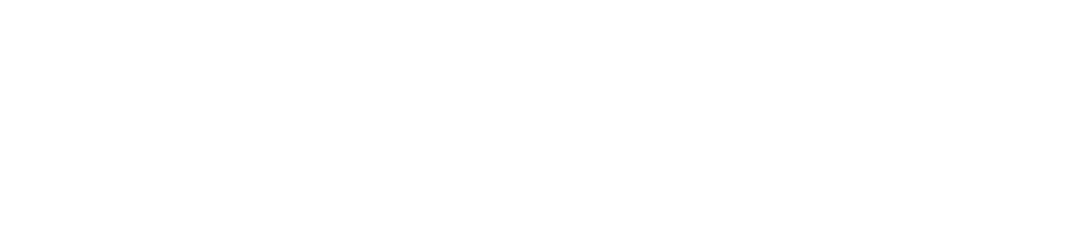 BizzRadar